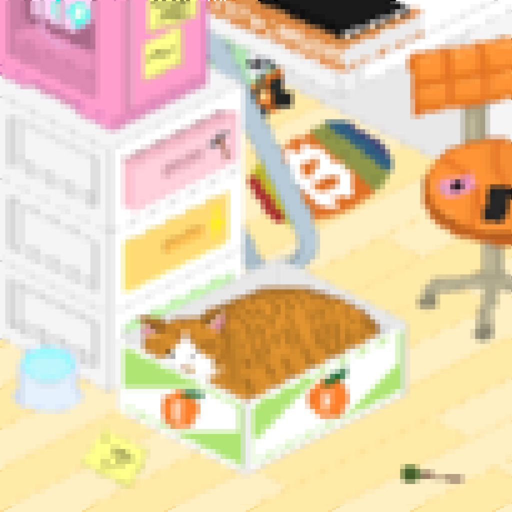 orange cat (X에서 보기)